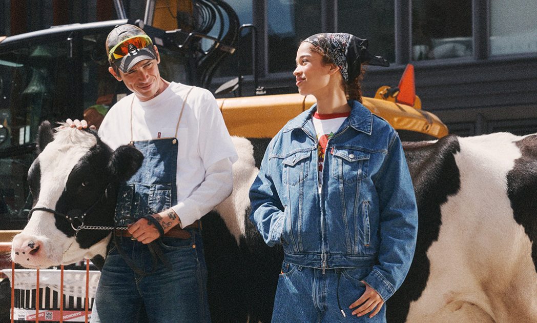 farm_goods_levis_binary